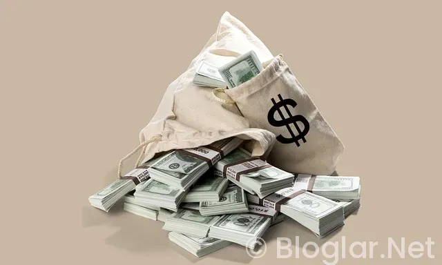 100 DOLAR KAZANMA