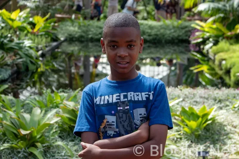 15 YAŞA UYGUN İŞ İLANLARI 15 YAŞA UYGUN İŞ İLANLARI