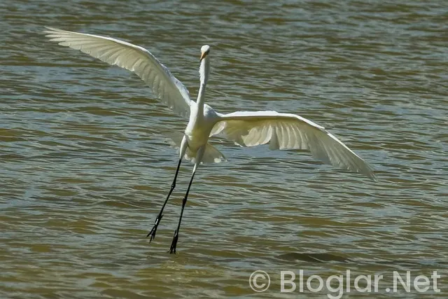 18 Kasım Hangi Burç 18 Kasım Hangi Burç