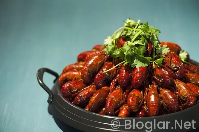 2 MİLYON ABONESİ OLAN YOUTUBER NE KADAR KAZANIR 2 MİLYON ABONESİ OLAN YOUTUBER NE KADAR KAZANIR