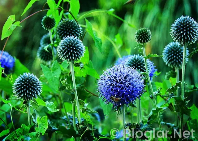 20 Kasım hangi burç? 20 Kasım hangi burç?