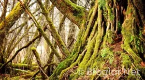 24 Kasım okullar tatil mi