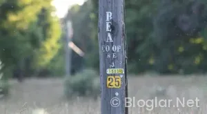 25 kasım hangi burç?