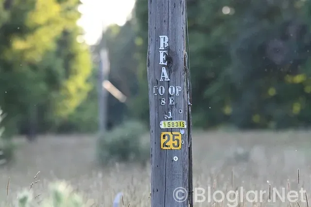 25 kasım hangi burç? 25 kasım hangi burç?