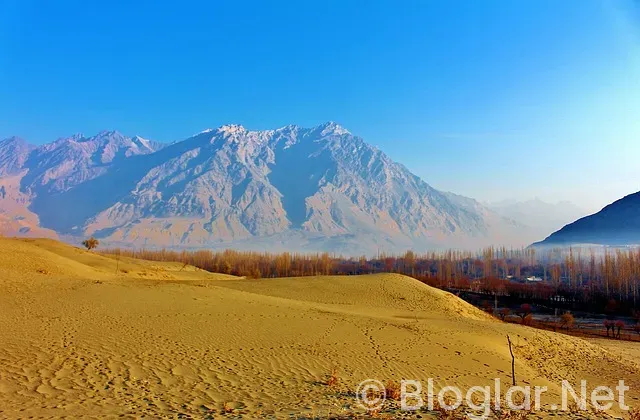 25 kasım hangi burç? 25 kasım hangi burç?