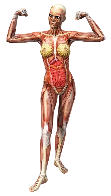 3d max bilen eleman iş ilanları