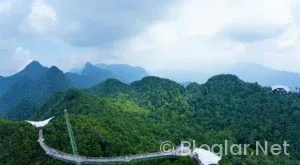 ADSENSE BLOGGER EKLEME