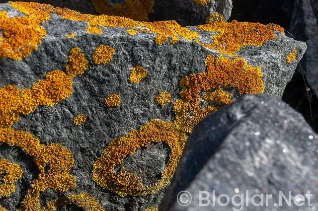 ADSENSE GELİRİ NASIL ARTTIRILIR