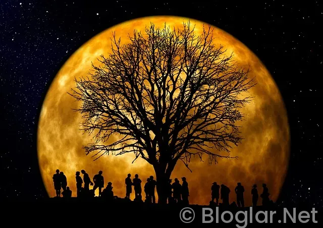 ADSENSE GELİRİ NASIL ARTTIRILIR