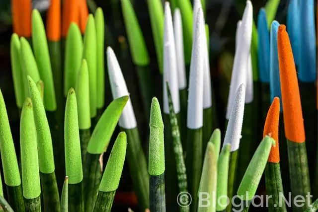 ADSENSE GELİRİNİ ARTTIRMAK