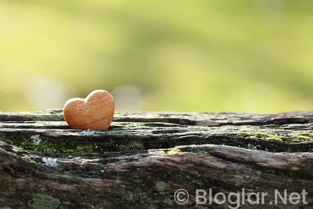 ADSENSE KAYIT ADSENSE KAYIT