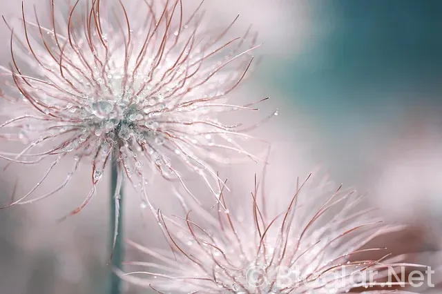 ADSENSE KAYIT ADSENSE KAYIT