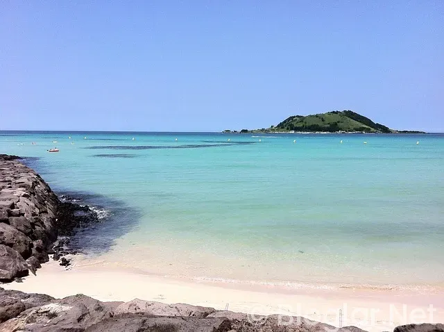 ADSENSE KAYIT OL ADSENSE KAYIT OL