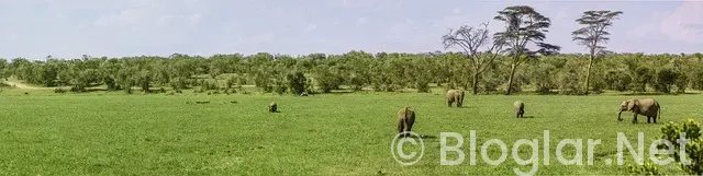 ADSENSE KAYIT OL ADSENSE KAYIT OL