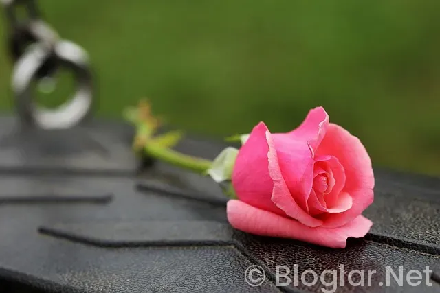 ADSENSE NASIL YAPILIR