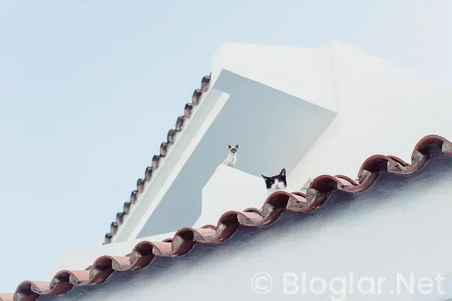 ADSENSE PARAM YATMADI ADSENSE PARAM YATMADI