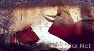 ADSENSE REKLAM PANELİ