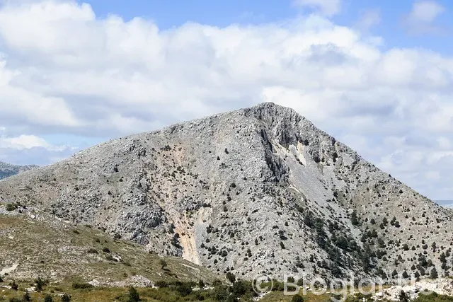 ADSENSE TÜRKİYE ADSENSE TÜRKİYE