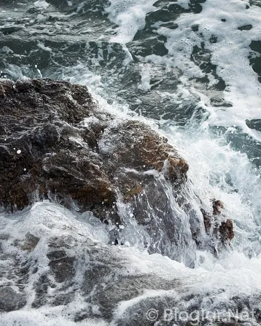 ADSENSE TÜRKİYE ADSENSE TÜRKİYE