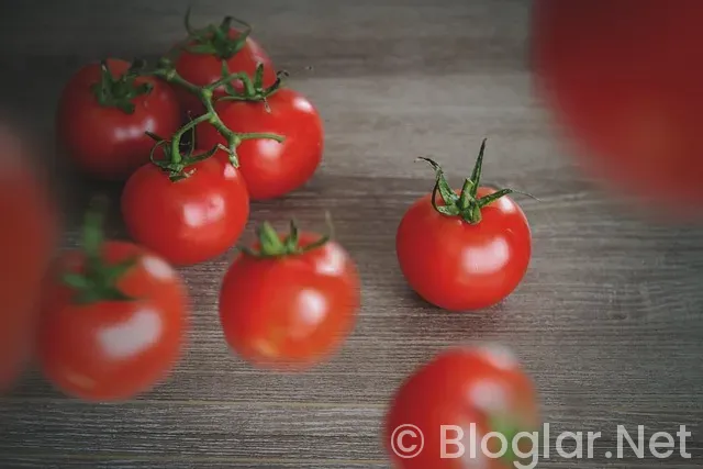 ADSENSE TÜRKİYE ADSENSE TÜRKİYE