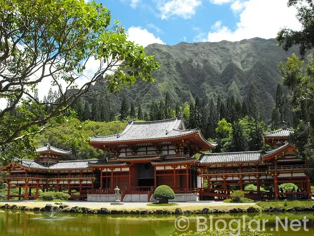 Ahu Yağtu sevgilisi Ahu Yağtu sevgilisi