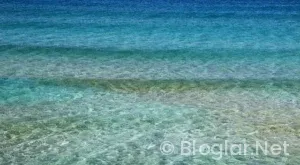 Akbank iş ilanları