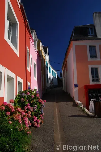 Akıllı yönetim paneli ile web sitesi yonetimi artık daha keyifli