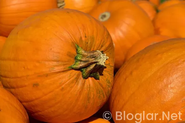 alencia - Levante maçı canlı izle alencia - Levante maçı canlı izle