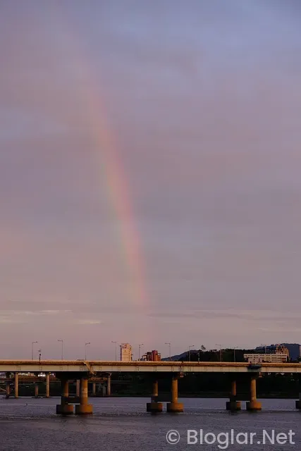 Almanya Slovakya maçı hangi kanalda? Almanya Slovakya maçı hangi kanalda?