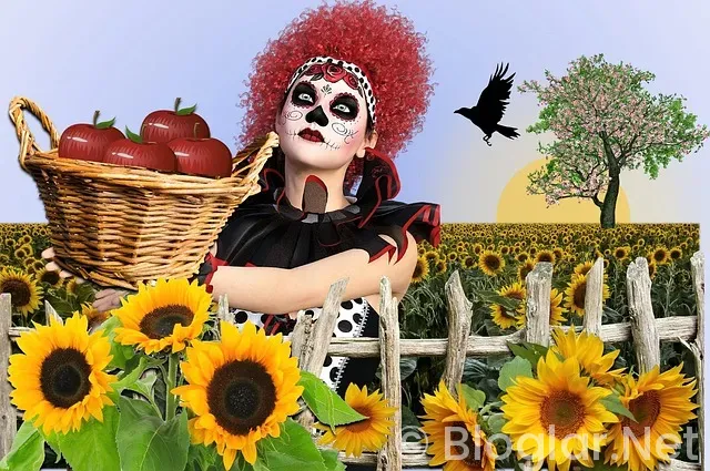 Almanya Slovakya maçı özet Almanya Slovakya maçı özet