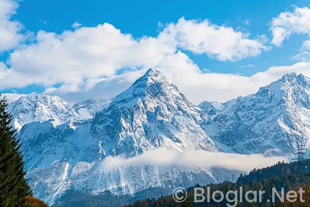 Alperen Şengün Kimdir? Alperen Şengün Kimdir?