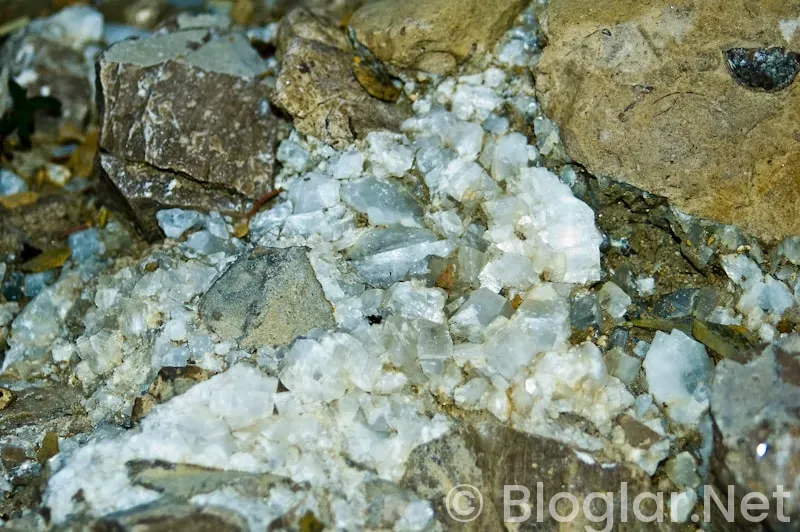 Alüminyum Fosfit Zehirlenmesi Nedir? Alüminyum Fosfit Zehirlenmesi Nedir?