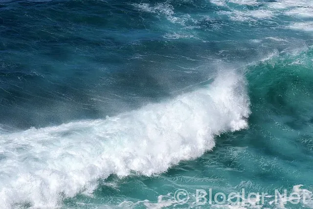 Aselsan Temettü Ödemeleri Ne Zaman? Aselsan Temettü Ödemeleri Ne Zaman?