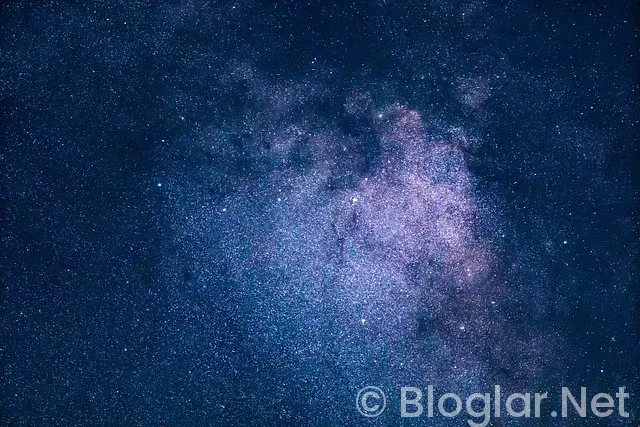 Ayça Ayşin Turan Kimdir?