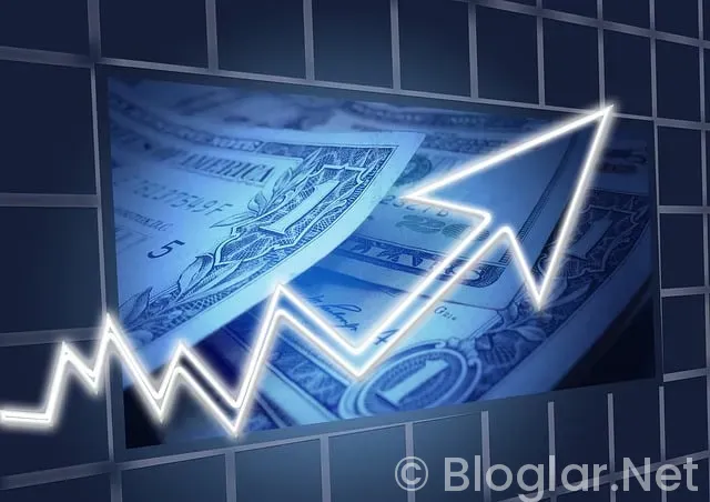 AYDA 1000 DOLAR KAZANMAK