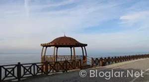 Aydın Ayaydın Kimdir?