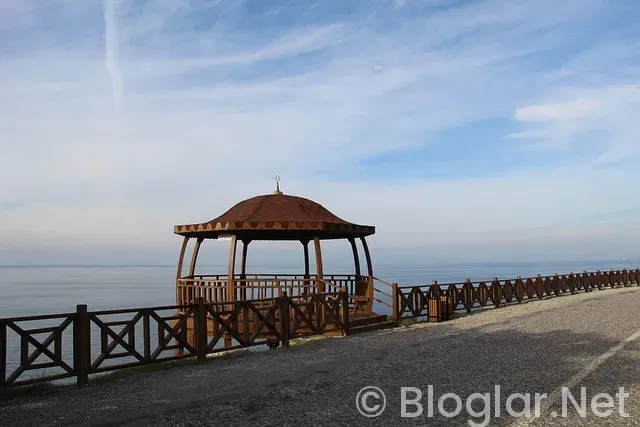 Aydın Ayaydın Kimdir?