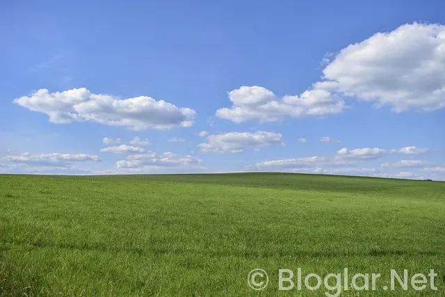 Ayşe Tokyaz Cinayeti Ayşe Tokyaz Cinayeti