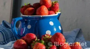 Bahar Dizisi 60 bölüm