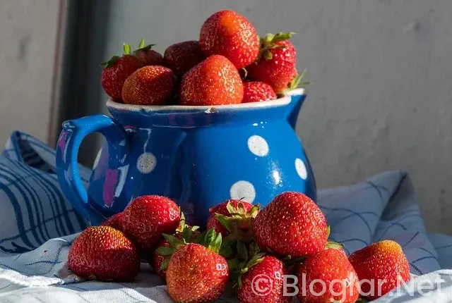 Bahar Dizisi 60 bölüm