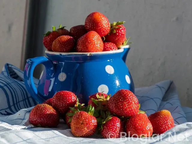 Bahar Dizisi 60 bölüm