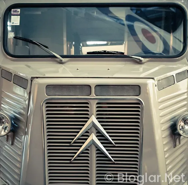 Beşiktaş Rafa Silva Beşiktaş Rafa Silva