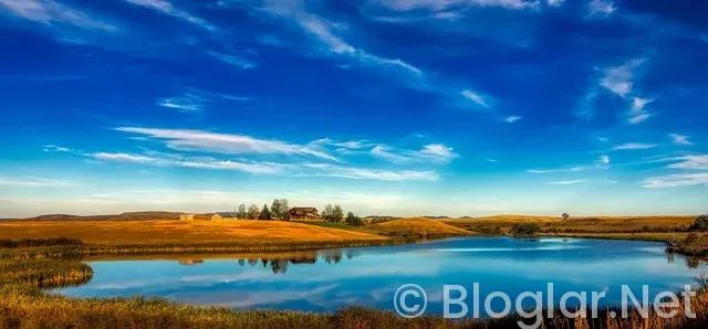 Beşiktaş Rafa Silva Beşiktaş Rafa Silva