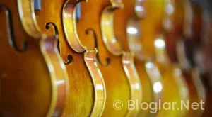 BİLGİSAYAR BAŞINDA PARA KAZANMA