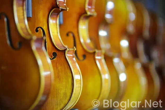 BİLGİSAYAR BAŞINDA PARA KAZANMA BİLGİSAYAR BAŞINDA PARA KAZANMA