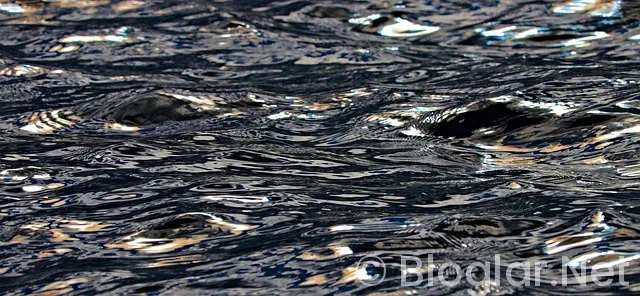 BİLGİSAYAR BAŞINDA PARA KAZANMA 2018 BİLGİSAYAR BAŞINDA PARA KAZANMA 2018