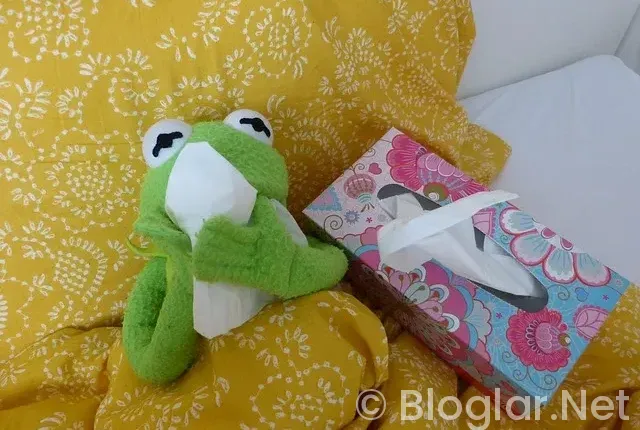 BİLGİSAYAR İLE PARA KAZANMA