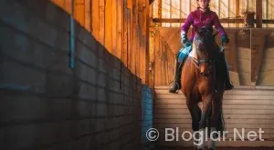 BİLGİSAYAR KİRALAYARAK PARA KAZANMA