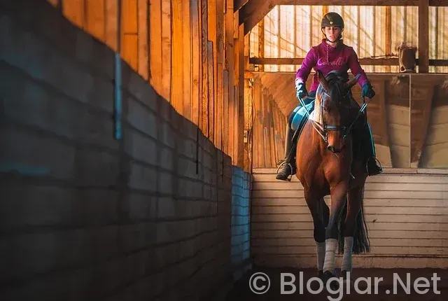 BİLGİSAYAR KİRALAYARAK PARA KAZANMA