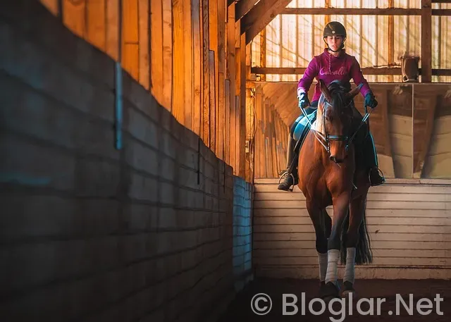 BİLGİSAYAR KİRALAYARAK PARA KAZANMA BİLGİSAYAR KİRALAYARAK PARA KAZANMA